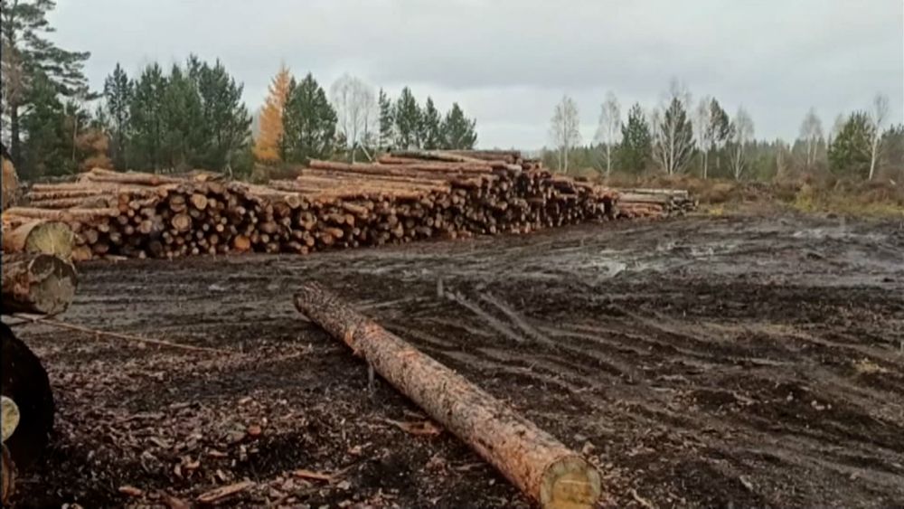 Обложка новости