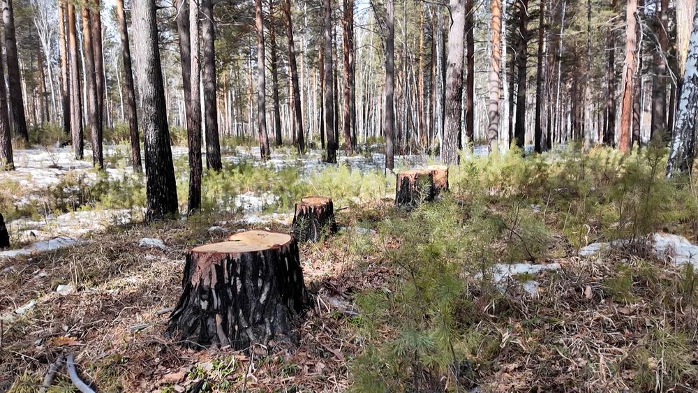 Обложка новости