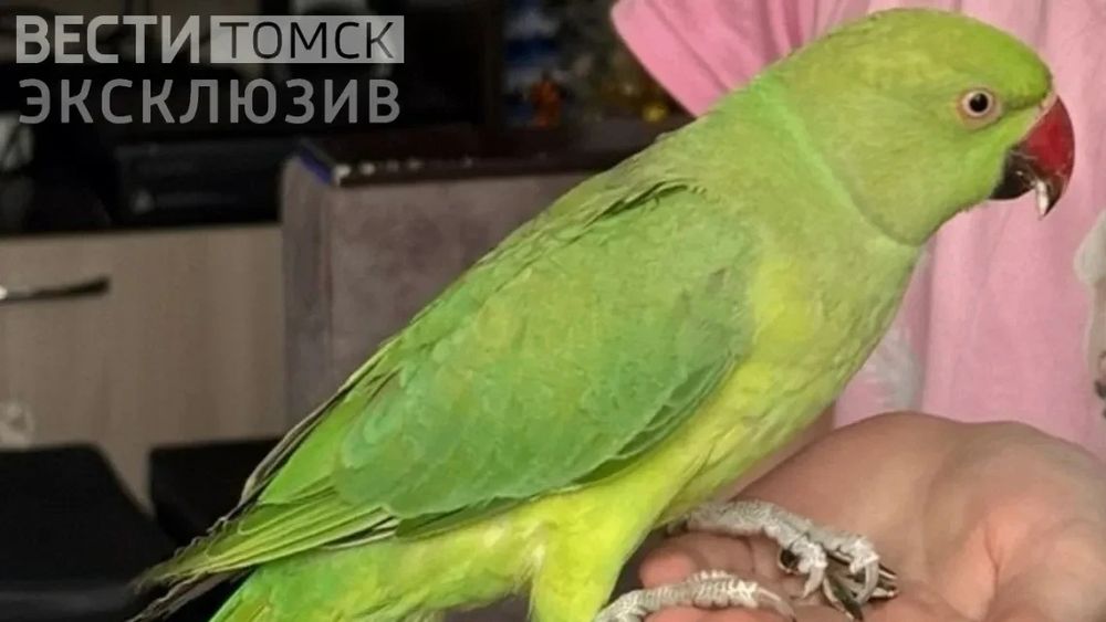 Обложка новости