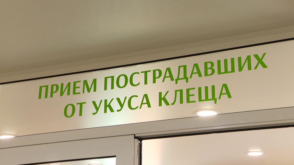 Обложка новости