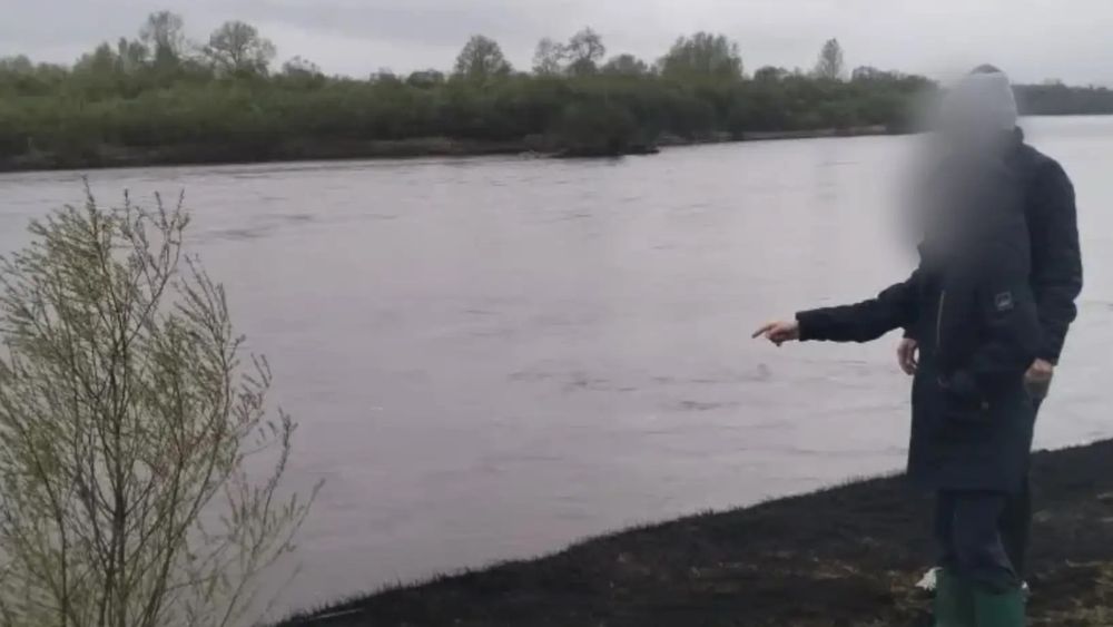 Обложка новости