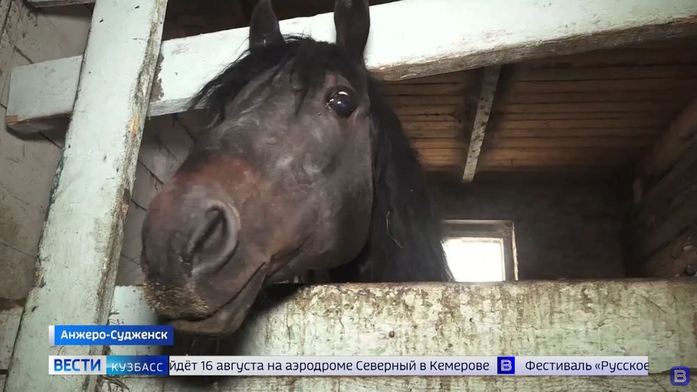 Обложка новости