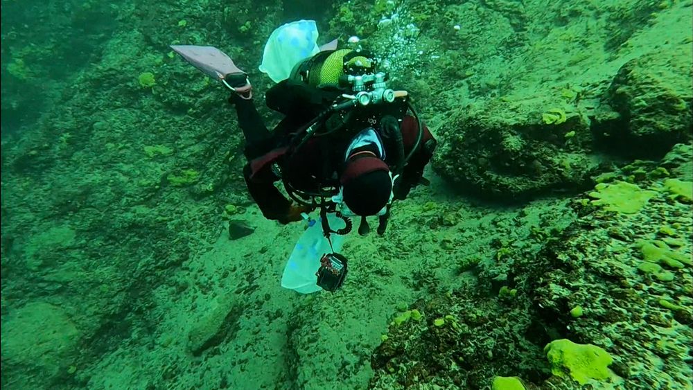 Обложка новости