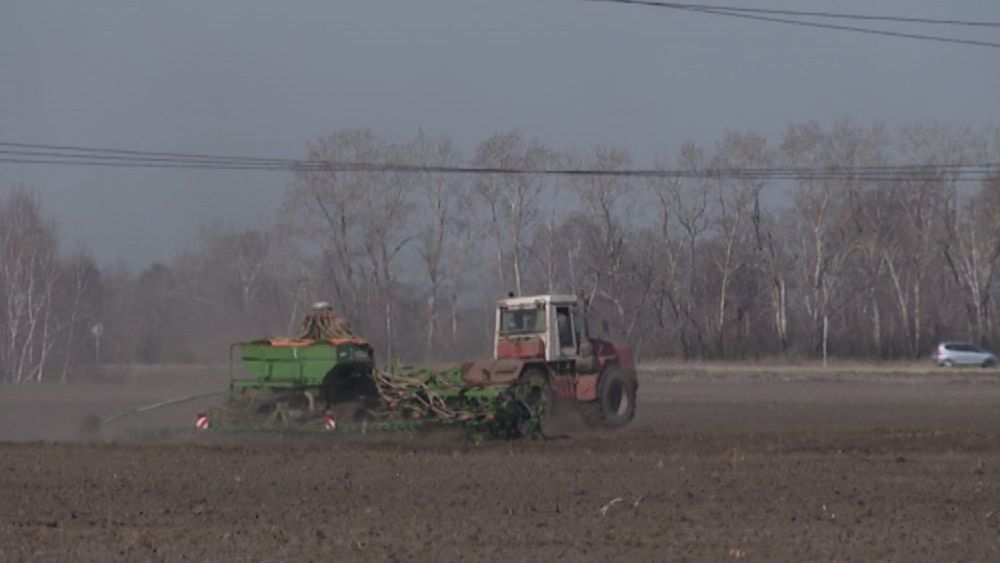 Обложка новости
