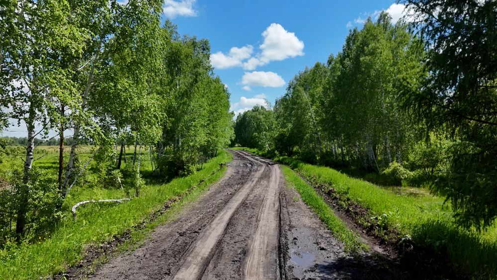 Обложка новости