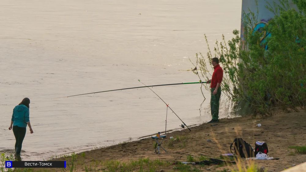 Обложка новости