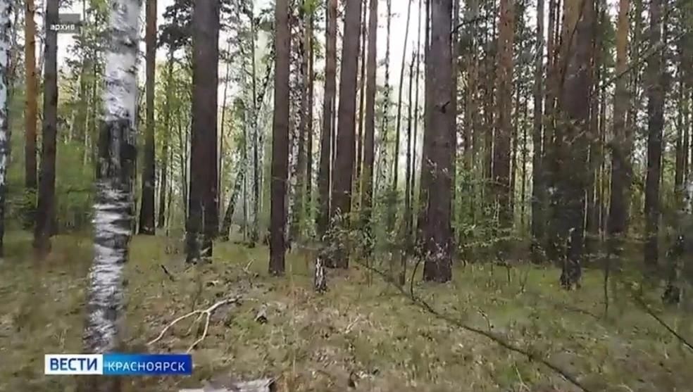 Обложка новости