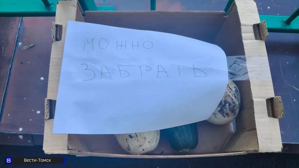 Обложка новости