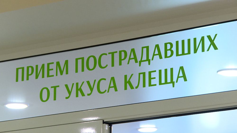 Обложка новости