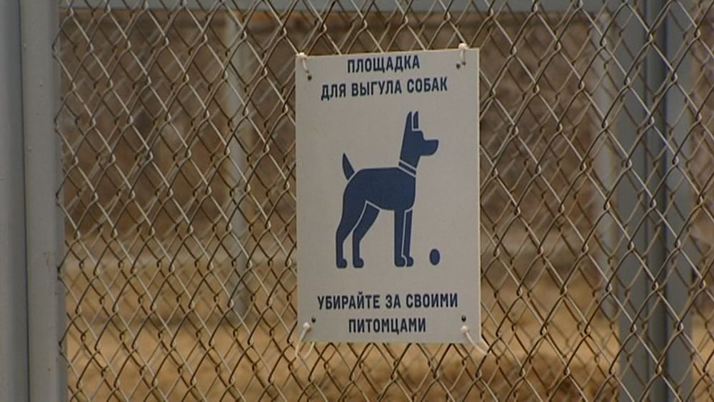 Обложка новости