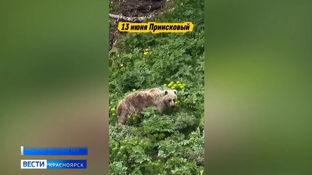 Обложка новости