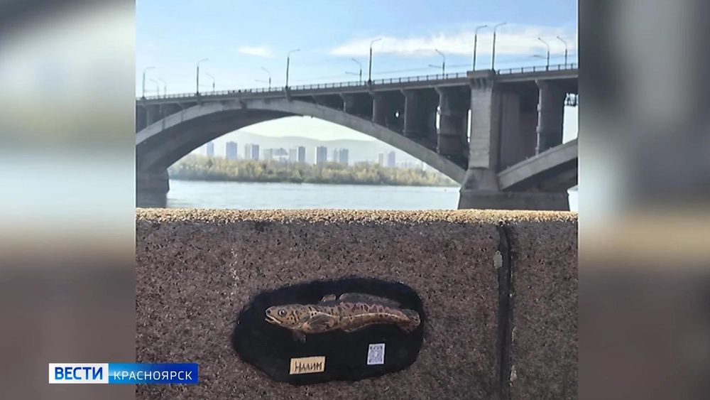 Обложка новости