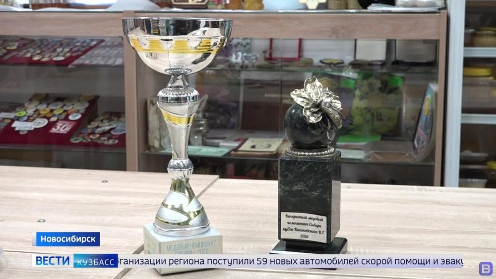Обложка новости