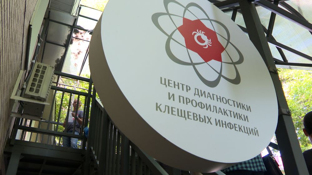Обложка новости