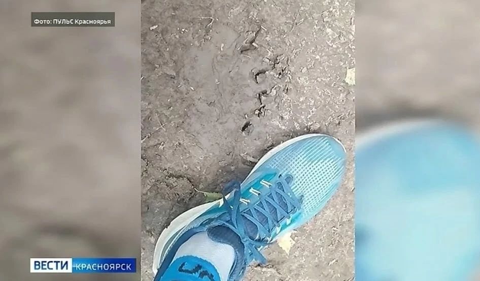 Обложка новости