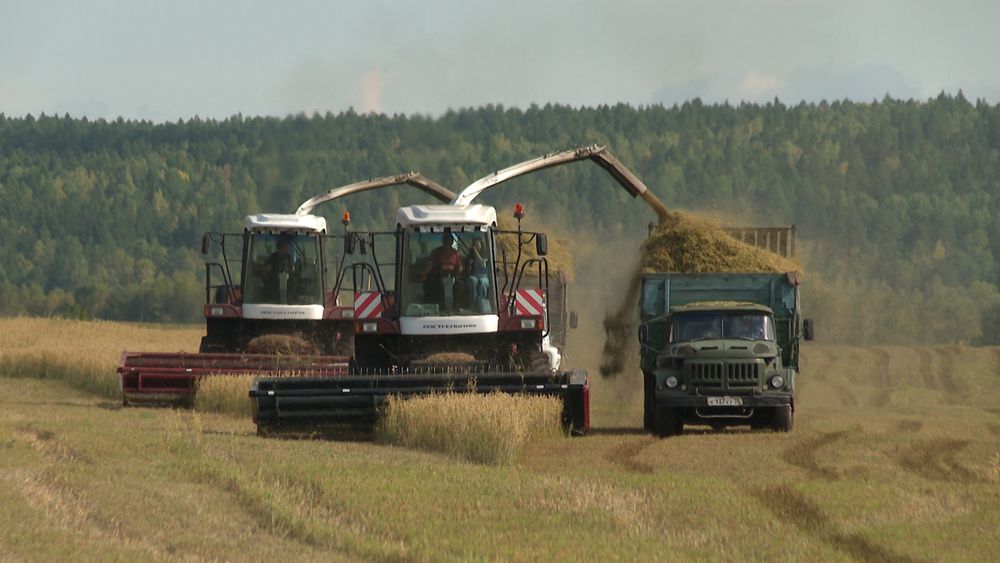 Обложка новости