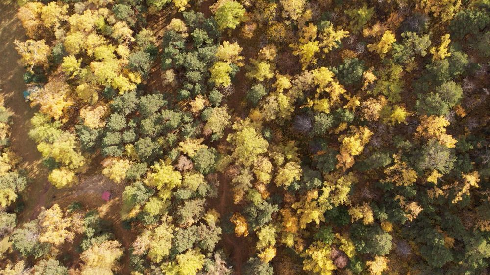 Обложка новости