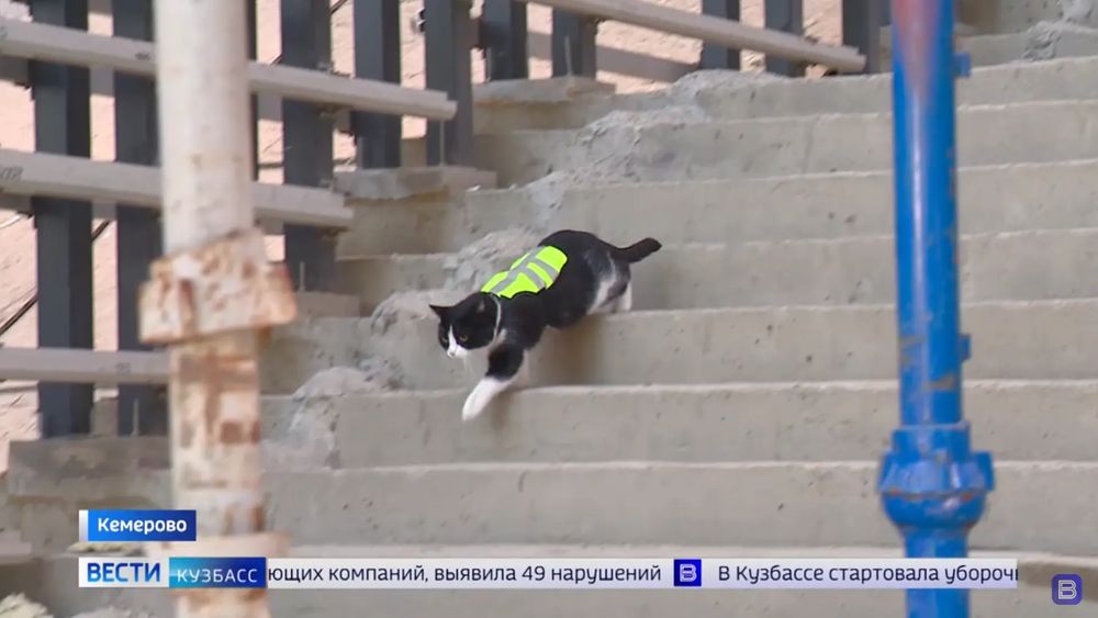 Обложка новости